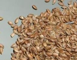 中药籽壳的功效与作用 松籽壳有什么作用