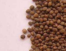 指甲花籽的药用价值 指甲花籽的药用价值和功效