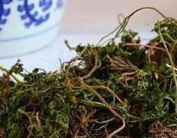 小春花的功效与作用 草药小春花的功效与作用