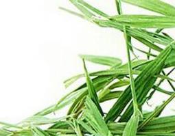淡竹叶的功效与作用及药用价值 淡竹叶的药用价值和功效