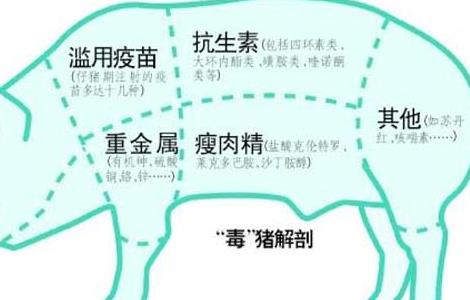 猪饲料中添加瘦肉精的危害 用瘦肉精喂猪会导致什么
