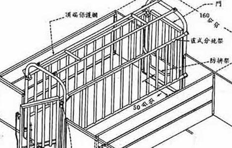 母猪定位栏的安装 母猪定位栏安装示意图