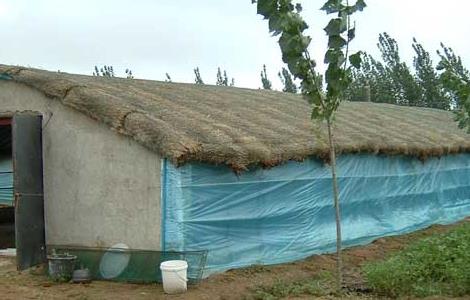 养鸡场鸡舍建设方案 养鸡场鸡舍建设方案设计