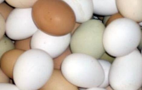 蛋鸡蛋壳变白是什么原因 蛋壳变白是怎么回事