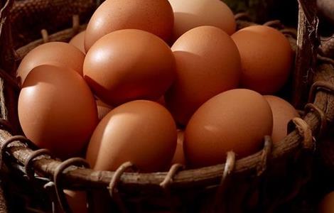 如何提高鸡蛋蛋壳质量（如何提高鸡蛋蛋壳质量视频）