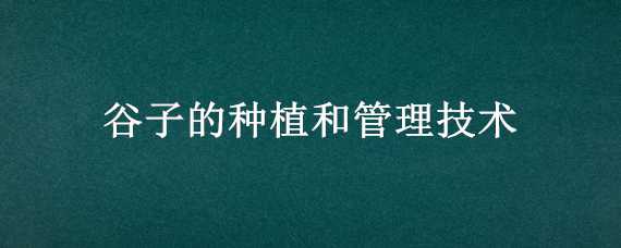 谷子的种植和管理技术 谷子的种植和管理技术有哪些