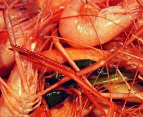 河虾和海虾的区别 河虾和海虾的区别都会过敏吗