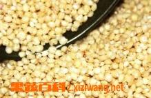 高粱米的功效与作用 高粱的功效与作用