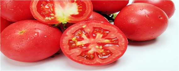 小西红柿的种植方法和管理技术 小西红柿的种植方法和管理技术在家咋种小番茄