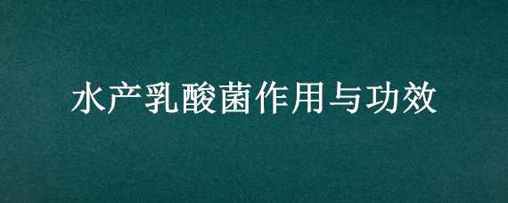 水产乳酸菌作用与功效 乳酸菌用于水产