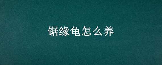 锯缘龟怎么养 锯缘龟如何饲养