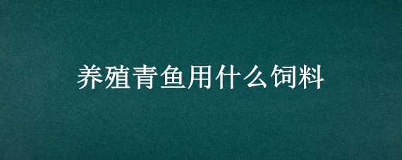 养殖青鱼用什么饲料（养殖青鱼用什么饲料好）