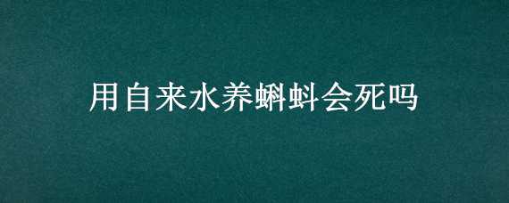 用自来水养蝌蚪会死吗 用自来水养蝌蚪会死吗为什么