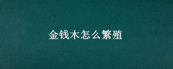 金钱木怎么繁殖（金钱木的繁殖方法和注意事项）