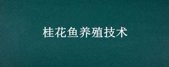 桂花鱼养殖技术（饲料桂花鱼养殖技术）