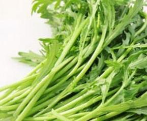 蓬蒿菜的功效与作用 蓬蒿菜的功效与作用及副作用
