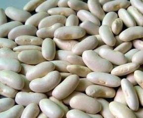 白芸豆的功效与作用 白芸豆的功效与作用吃法