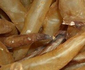 鳗鱼胶的功效与作用 鳗鱼胶的功效与作用可以止咳吗