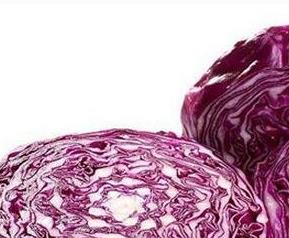 紫心包菜的营养价值（紫包菜的营养价值和包菜一样吗）