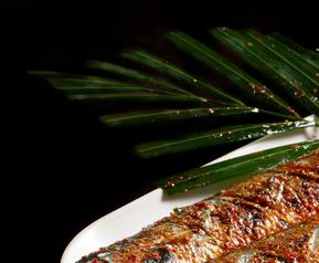 秋刀鱼的功效与作用 秋刀鱼的功效与作用及营养