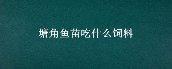 塘角鱼苗吃什么饲料 塘角鱼苗喂什么