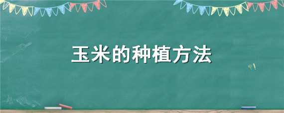 玉米的种植方法（玉米的种植方法与时间）