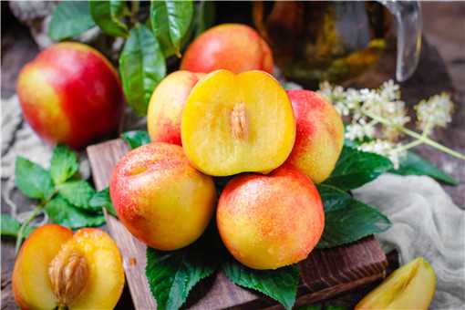 油桃是热性还是凉性水果 油桃是热性还是凉性水果来月经能吃吗
