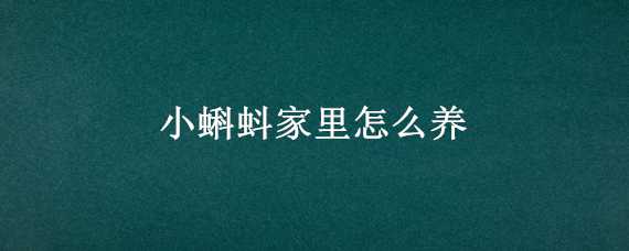 小蝌蚪家里怎么养 小蝌蚪家里怎么养的