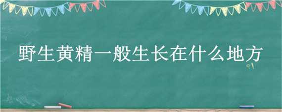 野生黄精一般生长在什么地方 野生黄精主要产于哪里