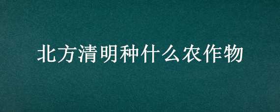 北方清明种什么农作物 北方清明种什么农作物好