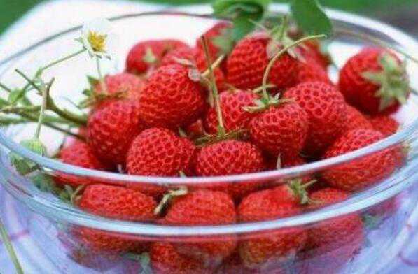 吃草莓对皮肤有什么好处 吃草莓对皮肤有什么好处和坏处