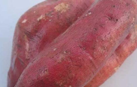 红薯减肥法怎么吃 红薯减肥法吗