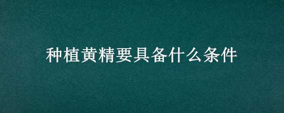 种植黄精要具备什么条件（种植黄精需要什么条件）