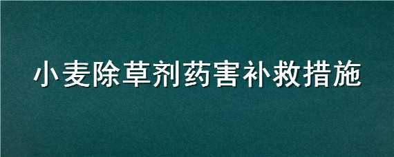 小麦除草剂药害补救措施（小麦除草剂药害补救措施是什么）