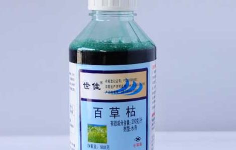 玉米田除草剂的选择方法（玉米田除草剂的使用方法）