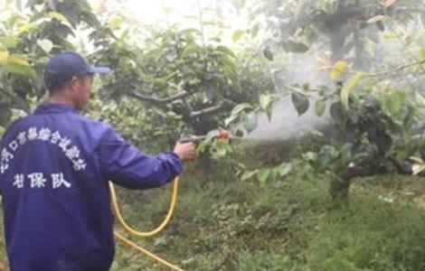 果树夏季喷药注意事项（果树夏季喷药注意事项是什么）