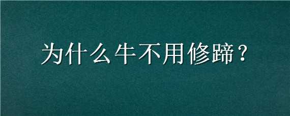 为什么牛不用修蹄 怎么给牛修蹄