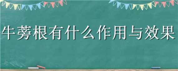 牛蒡根有什么作用与效果 牛蒡根有什么作用与功效