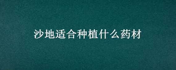 沙地适合种植什么药材（沙子地种什么药材最好）