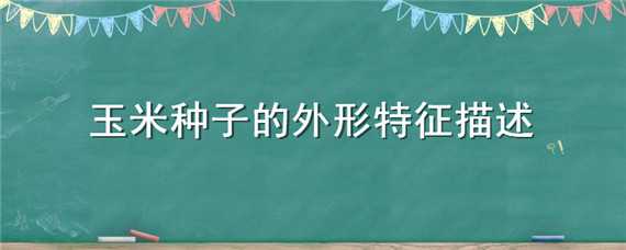 玉米种子的外形特征描述（玉米的种子的外形特点）