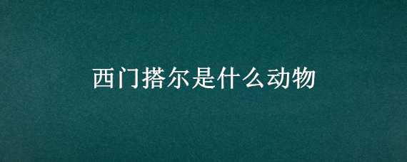 西门搭尔是什么动物