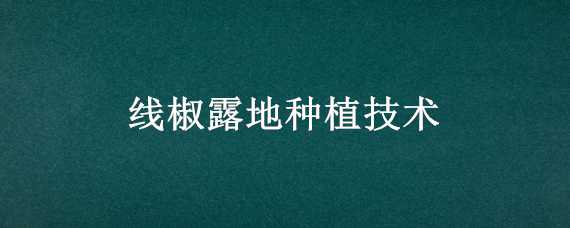 线椒露地种植技术 线椒露地种植技术与管理