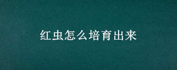 红虫怎么培育出来（红虫怎么培育出来的）