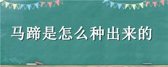 马蹄是怎么种出来的 马蹄是种在哪里的