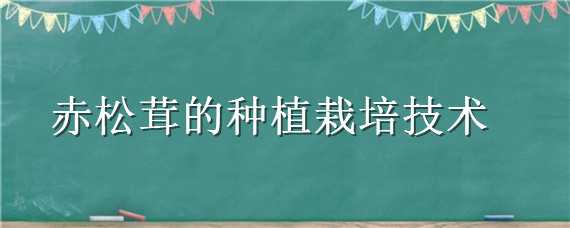 赤松茸的种植栽培技术 赤松茸的种植栽培技术光盘