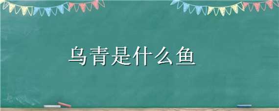 乌青是什么鱼（乌青鱼百度百科）