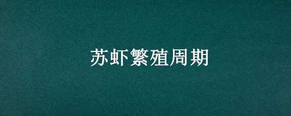 苏虾繁殖周期 苏虾养殖难点