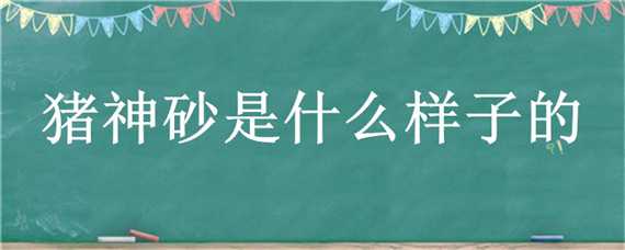 猪神砂是什么样子的（猪神砂是怎么形成的）