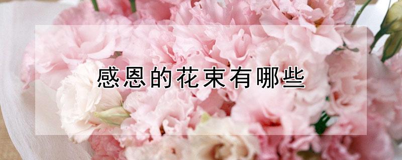 感恩的花束有哪些（感恩的花束有哪些百合花图片）