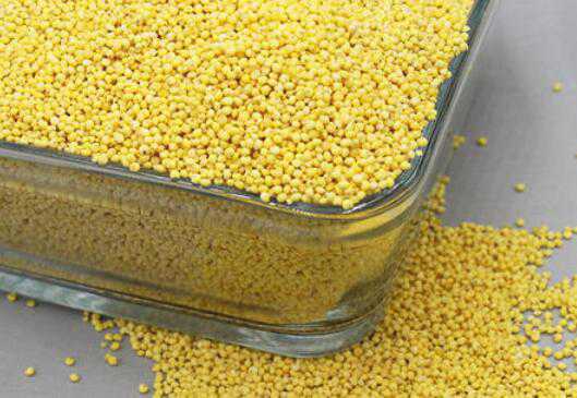 黍子米的功效与作用及食用方法方式 黍子的功效和作用